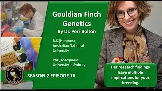 Gouldian Finches: House of Gouldians - Season 2 Episode 16