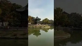 Changdeokgung Palace | Where Seoul Becomes Still