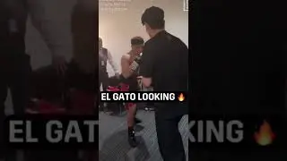 El Gato Jack Catterall #boxingnews #britishboxing
