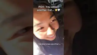 I&rsquo;m proud to announce that Mrs Bing Bing is a part of the POVINME Community 🐱🤍🫡#pov #cats