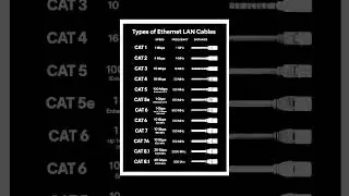 Types of Ethernet LAN Cables | Cat 5 vs Cat 6 vs Cat 7 vs Cat 8 Explained