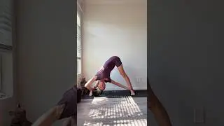 #yoga #yogilife #yogaskills #yogaonline #yogapractice #yogacoach #wellnesscoach #neosutras