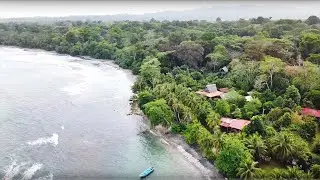 Coastal Permaculture Farm/ Botanical Collection in Costa Rica