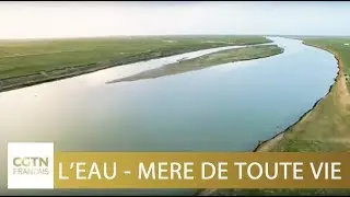 La force de la nature - L'eau sur Terre, m&egrave;re de la biodiversit&eacute;