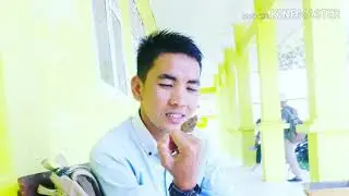 Ajipati janur kuning