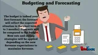 6  The Role of Yield Manager