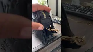 What&rsquo;s in my Louis Vuitton Coussin PM what&rsquo;s in my purse
