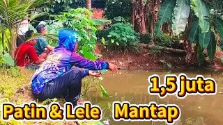 MANTAP‼️BANG AMAD JUARA LAGI‼️EDISI MANCING PATIN YANG RAKUS MAKAN
