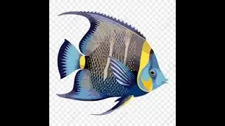 Soda Cans craft technique lesson 004angelfish. #tutorial #art #can #diy #cola #creative  #創意 #教學