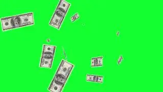 Efecto de dinero, para v&iacute;deos  -Pantalla verde.