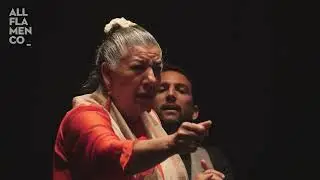 Juana la del Pipa en el Festival de Jerez