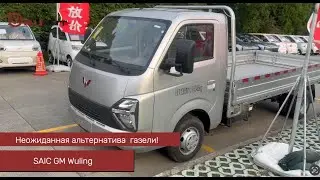 Неожиданная альтернатива газели!