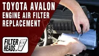 How to Replace Engine Air Filter 2007 Toyota Avalon V6 3.5L | TA45650, AF3996