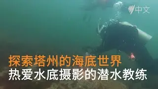 澳洲华人潜水教练Max：塔州潜水的独一无二与海底摄影的神奇体验 | 故事 | SBS中文