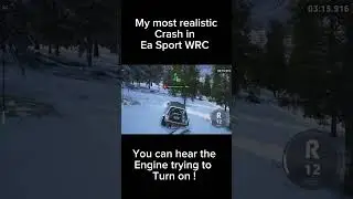 Realistic crash in Ea sport wrc #ps5 #automobile #wrcmontecarlo #gaming #eawrc #wrc
