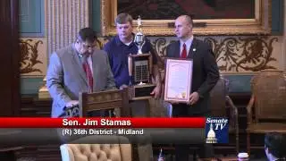 Sen. Jim Stamas recognizes the Midland Northwest Little League All Stars as Stat Champs