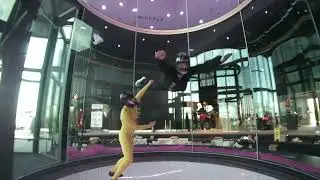 LuxFly