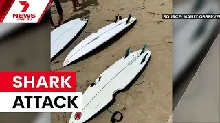 Young surfer's narrow escape at Dee Why | 7NEWS