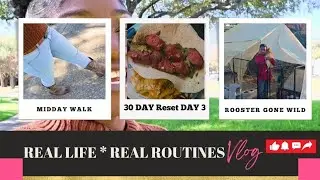 Day in the Life of a Full-Time Working Mom | Wellness, Fasting Reset Day 3 & Real Life Routines