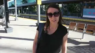 Toronto Animal Liberation March, and bearing witness at fearmans pig slaughterhouse