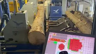Jurton SawMill
