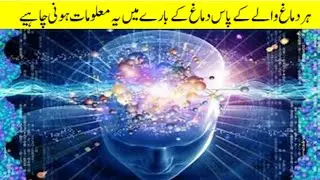 interesting and best knowledge video urdu story about human brain facts and power of human brain and