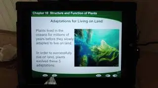 Lecture for 7th Grade Life Science Ch. 10.1 