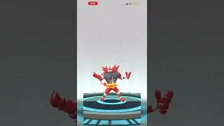 ✨ Shiny Litten ✨ Evolution Line 🔥