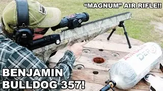 Benjamin Bulldog 357! 