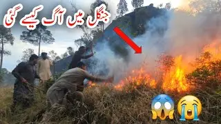 A Fire Broke Out In The Forest/🔥Jandala Samahni Azad Kashmir