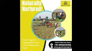 Naturally Nurtured, Fresh Organic Vegetables for your Rented Mini Farm