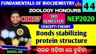 Bond stabilizing protein structure|Biochemistry core7|Zoology honours|3rd semester zoology honours 