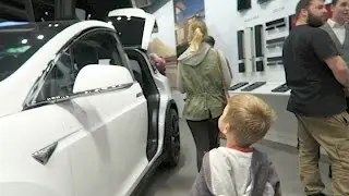 Tesla Stores Why and Buses (only good for entertaining Jasper)