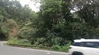 Dharmasthala forest reserve 