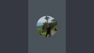 Tebak kata