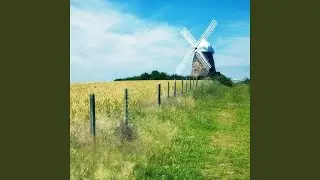 Windy Hill