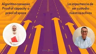 Algoritmo consenso Proof of capacity o proof of space- Importancia de ser custodio nuestros activos