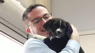 10 News gets puppy gram
