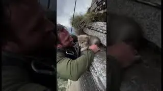🐾The Day a Wolf Trusted a Human🐾