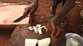 Harvesting Cassava in the Village | Making Crispy Cassava Chips | ASMR