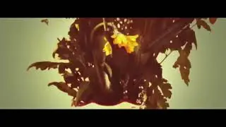 Villages of Ether - Idiot Songs (Pearse McGloughlin & Justin Grounds)