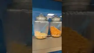SirionLabs Gurgaon Office | Cafeteria | Yummy Breakfast | Best Place To Work #shorts #office #yt