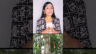 Hazaribagh viral news #hazaribaghviralnews #chamatkar #latestnews