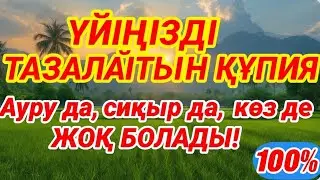 Мынаны қойсаңыз — үйіңізді ешкім бұза алмайды! Кесапат пен дуадаң 100% қорғаныс