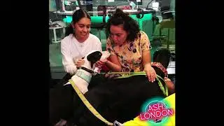 Alessia Cara - Ash London Live - Growing Pains acoustic & talking Pains of Growing (14/08/2018)