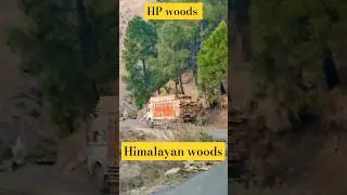 High grade road HP #hrtc #hk #ruralshimla #ruralindia #woods #shimla #chopal