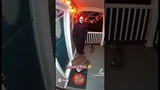 Happy Halloween to the animals