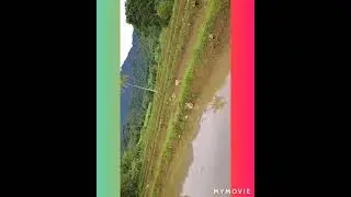 HIDDEN BEAUTY OF SITIO CALANUGAN,BRGY. MINAPASUK, CALATRAVA,NEG. occ. #beauty's pot #Mark's special