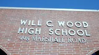 Will C. Wood NewsCats: 4