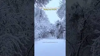 Uzbekistan in Winter. #uzbekistan #aesthetic #winter #travel #internationaltrip #tourism
